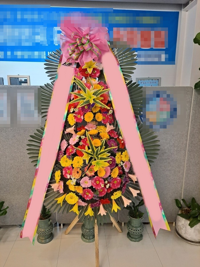 ����3��ȭȯ