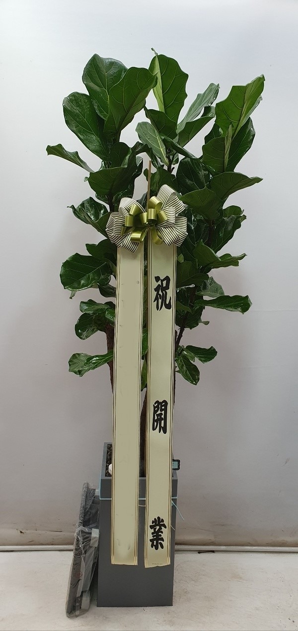 ����ȭ�� ������������