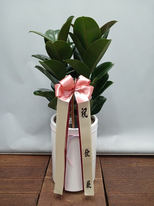 ����ȭ�� ��������