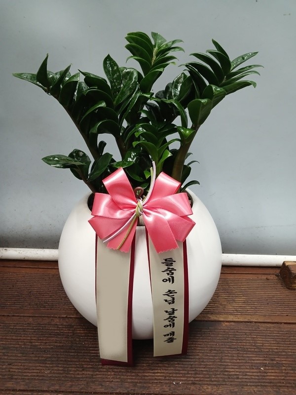 ����ȭ�� ����������