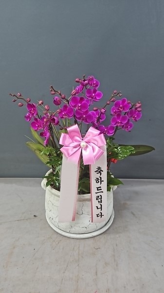 ����� ��õȫ