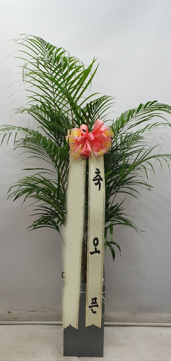 ����ȭ�� �Ʒ�ī����