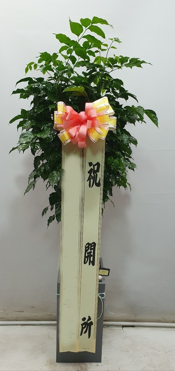 ����ȭ�� �캸��