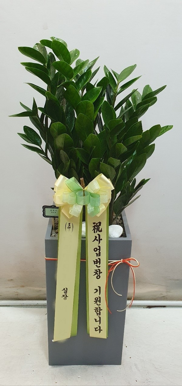 ����ȭ�� ������