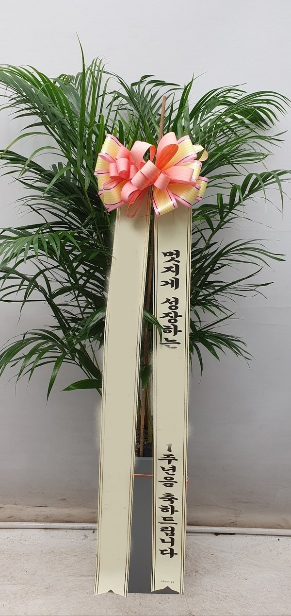 ����ȭ�� �Ʒ�ī����