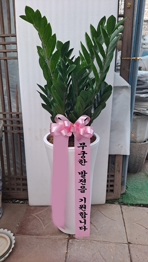 ����ȭ�� ������