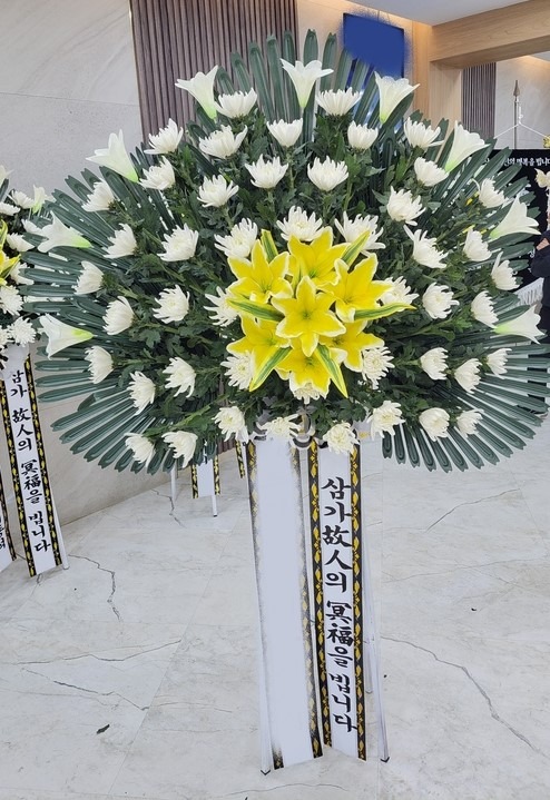 ����ȭȯ ����������