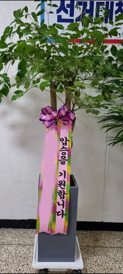 ����ȭ�� ����Ʈ��