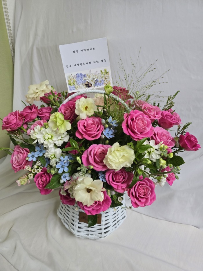 ������ȫ �ɹٱ���