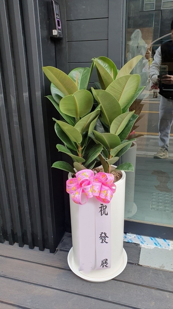 ����ȭ�� ��������