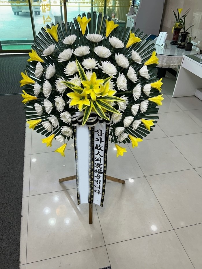 ����ȭȯ ����������