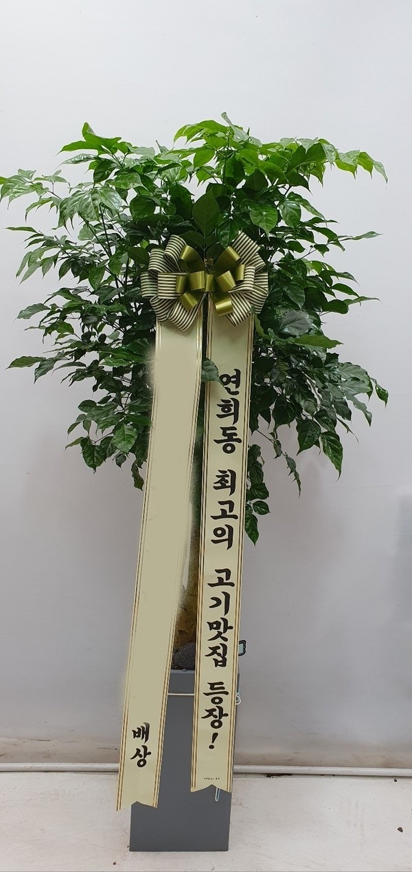 ����ȭ�� �캸��