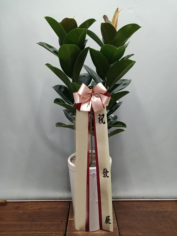 ����ȭ�� ��������