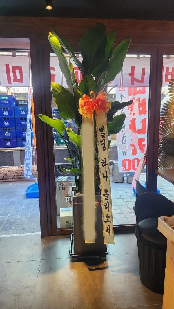 ����ȭ�� �ض���