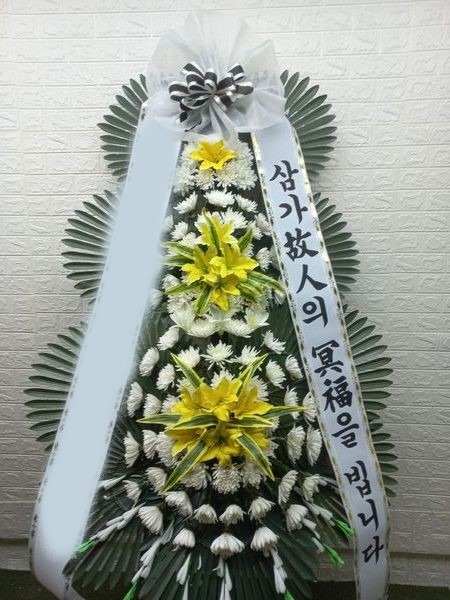 ����ȭȯ ����3��