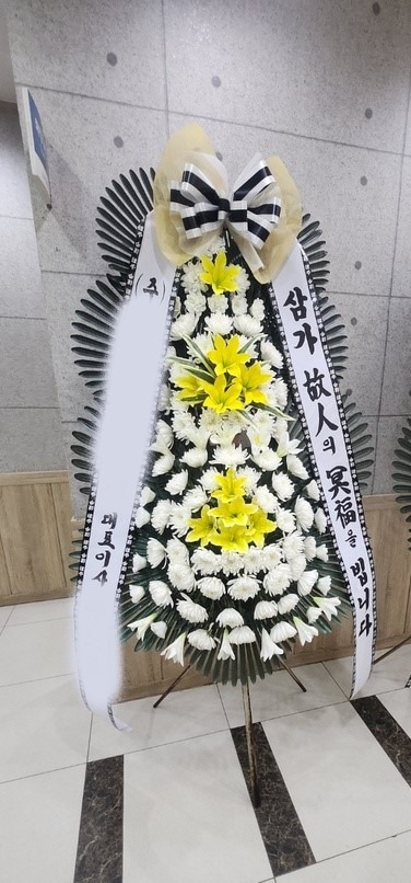 ����ȭȯ ����3��