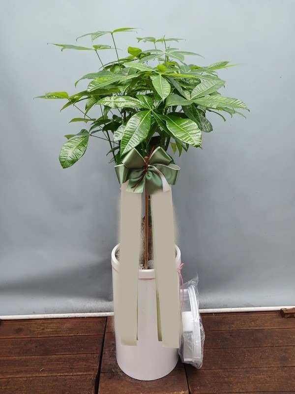 ����ȭ�� ��Ű��