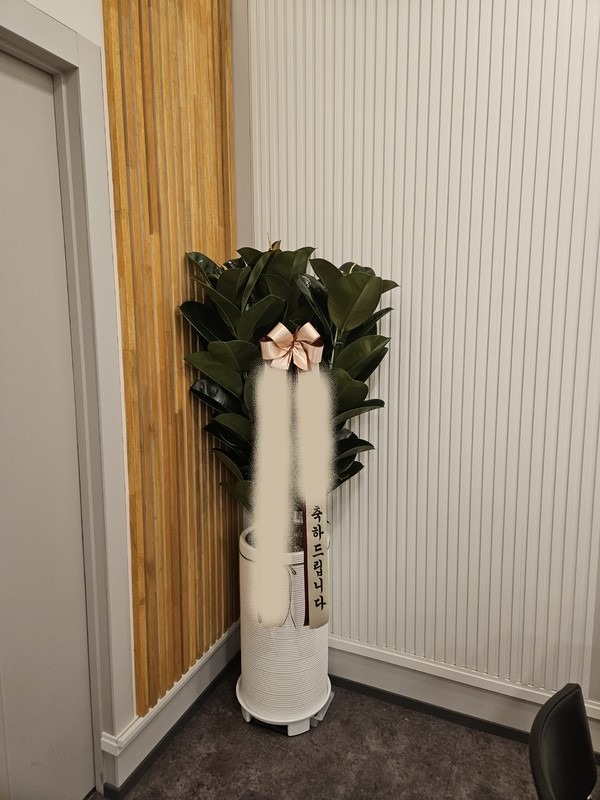 ����ȭ�� ��������