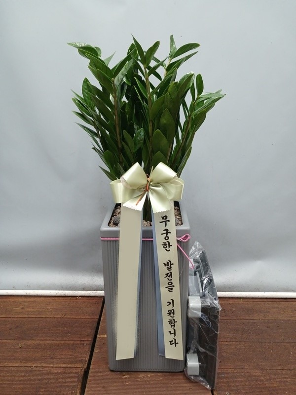 ����ȭ�� ������