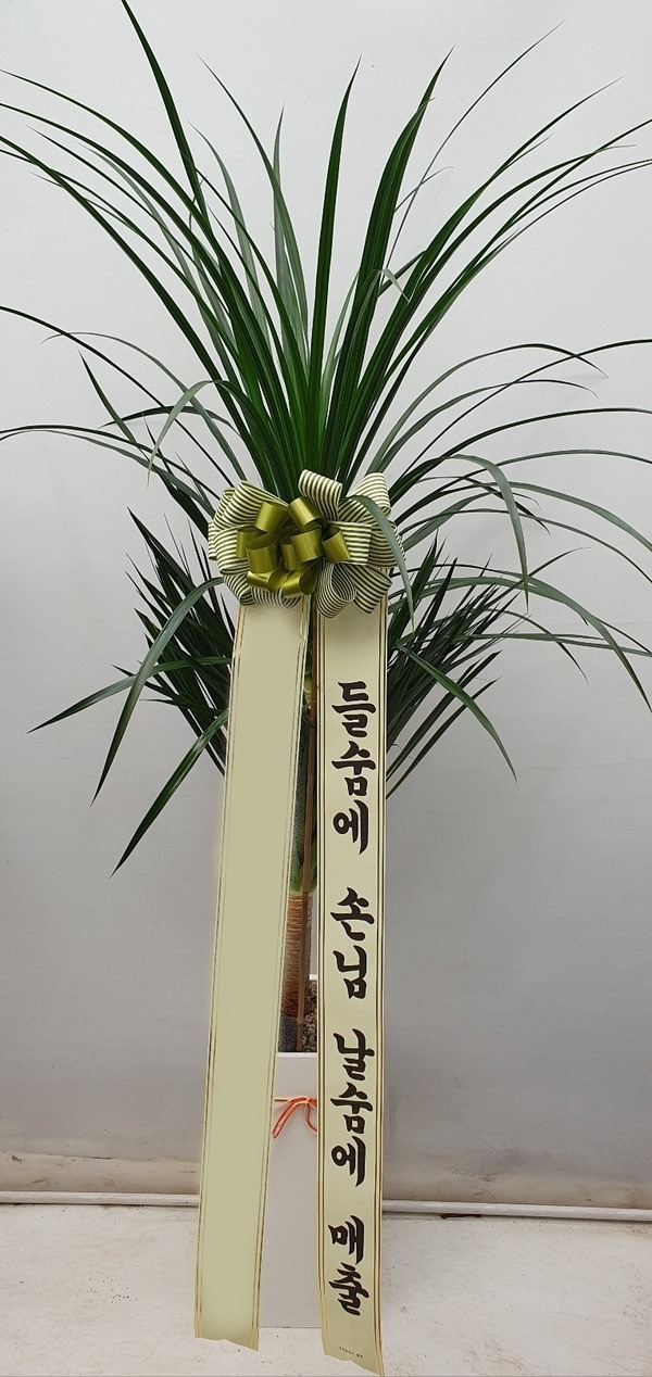 ����ȭ�� �����