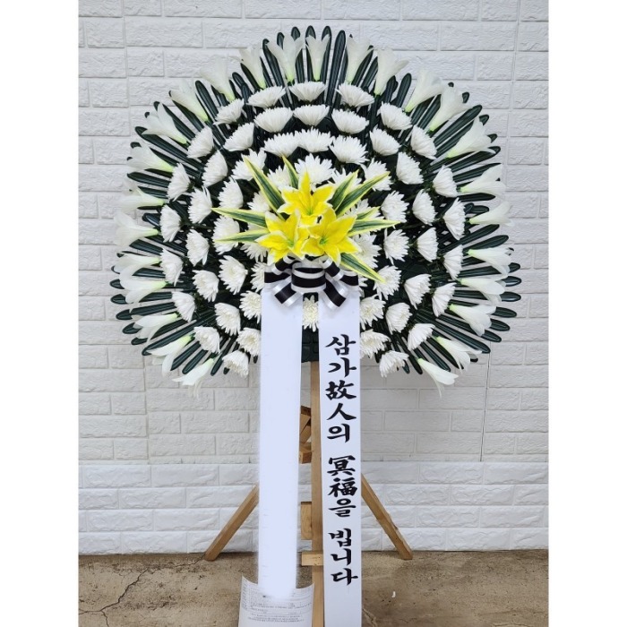 ����ȭȯ ����������