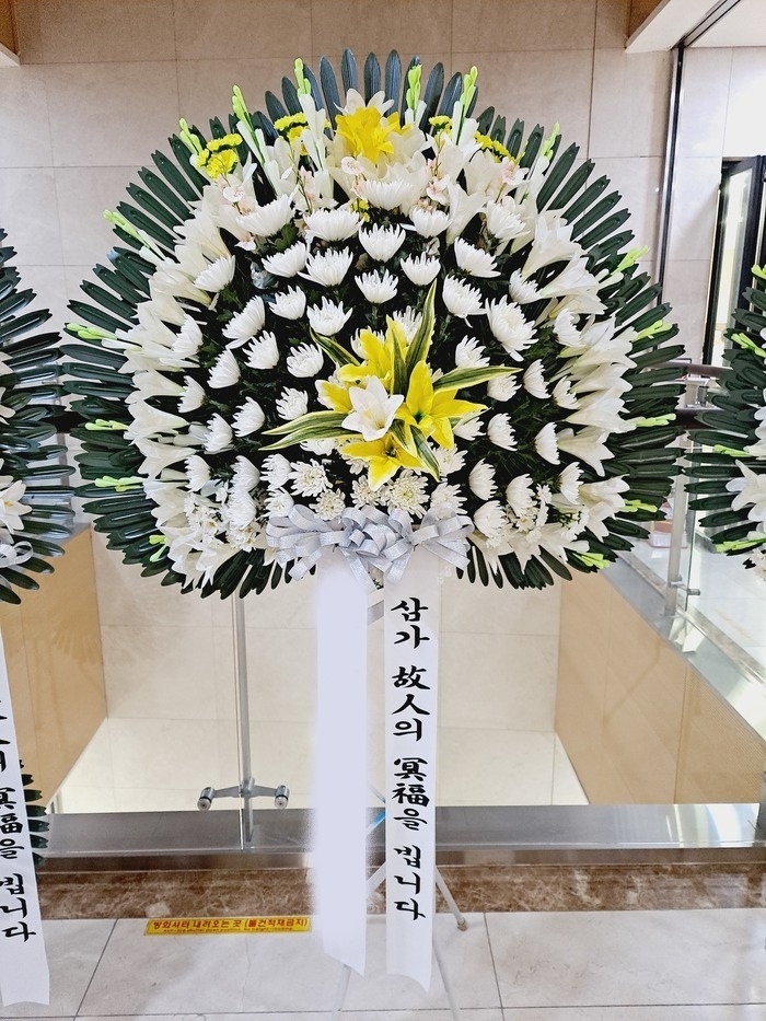 ����ȭȯ ����������