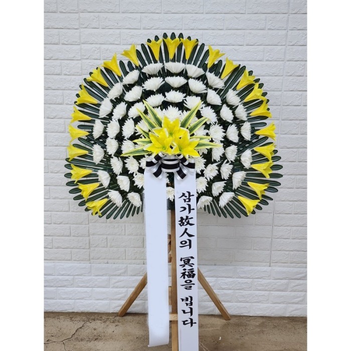 ����ȭȯ ����������