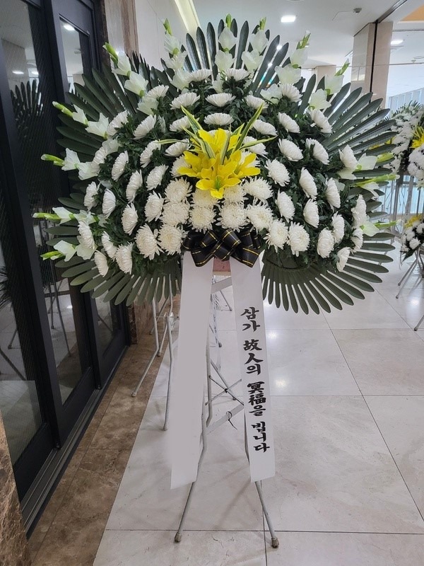 ����ȭȯ ����������