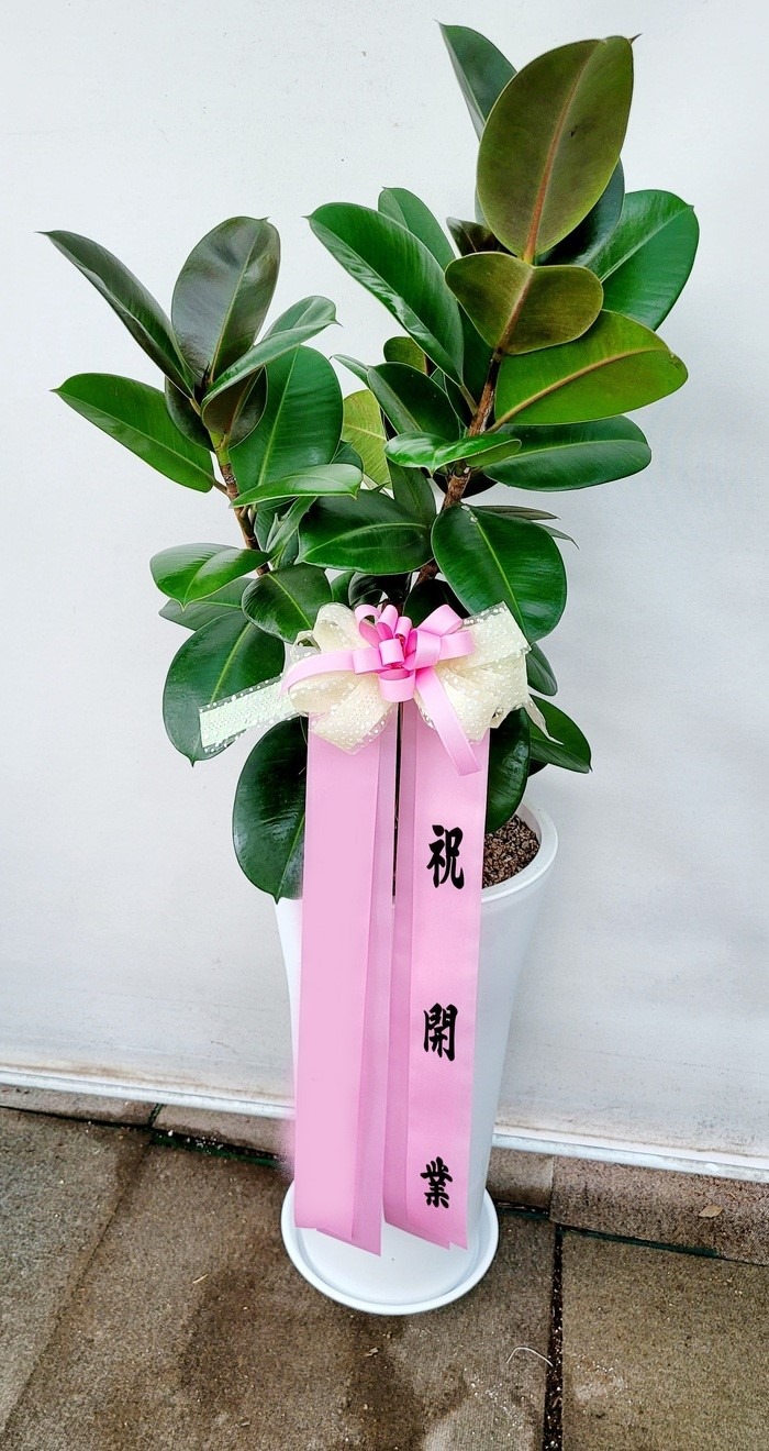 ����ȭ�� ��������