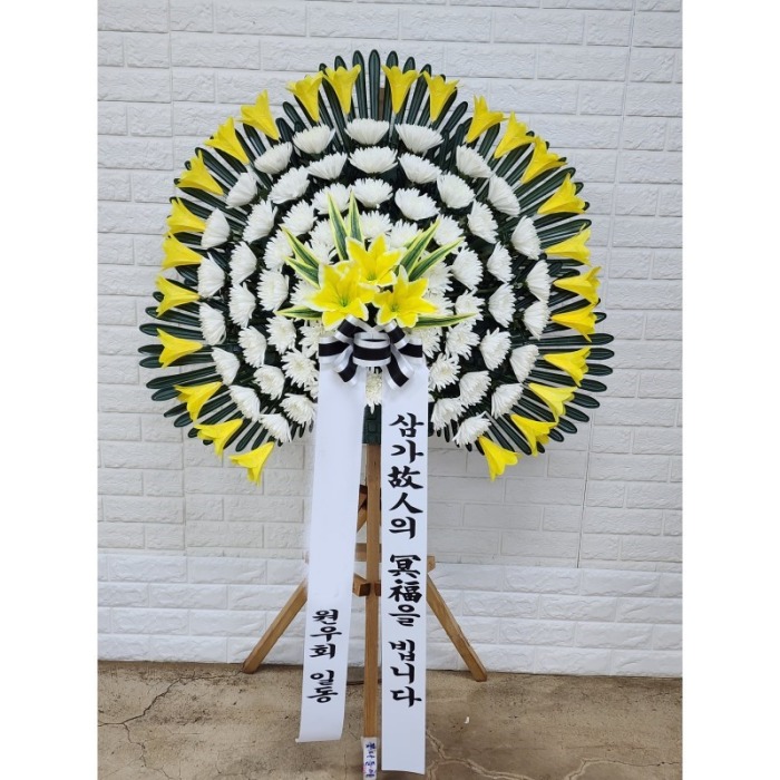 ����ȭȯ ����������