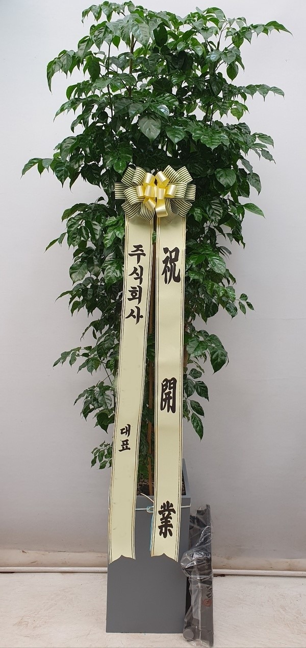 ����ȭ�� �캸��