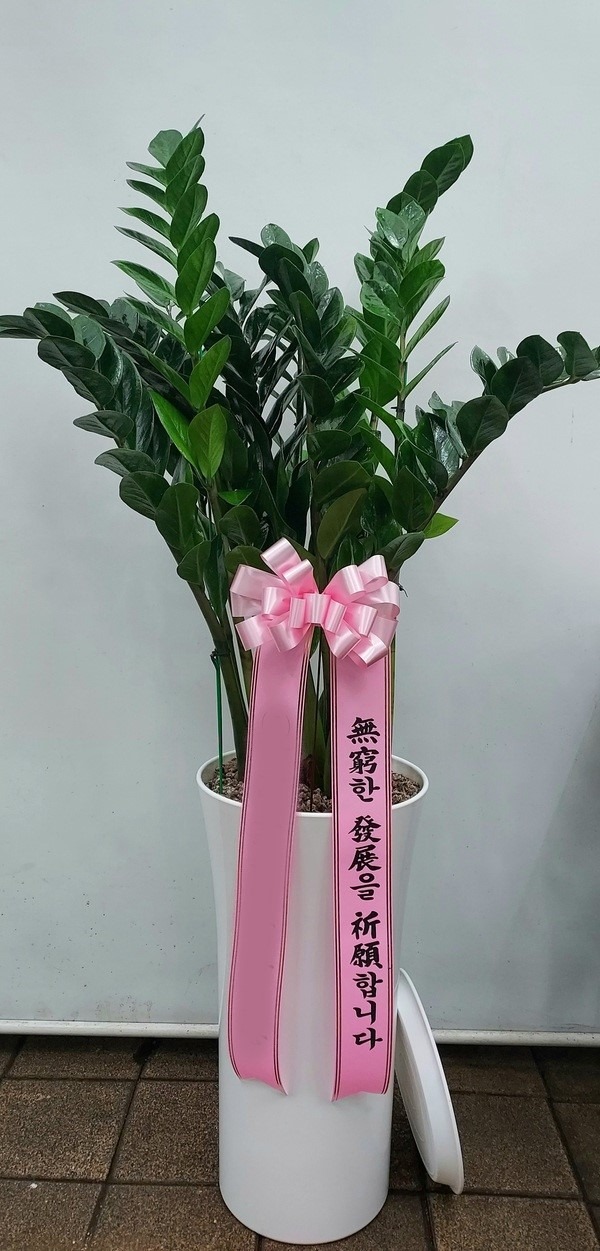 ����ȭ�� ������