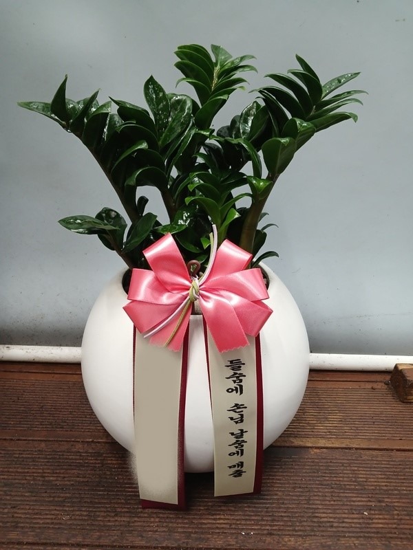 ����ȭ�� ����������