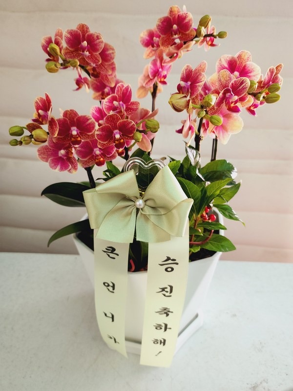 ����� �ݳ���