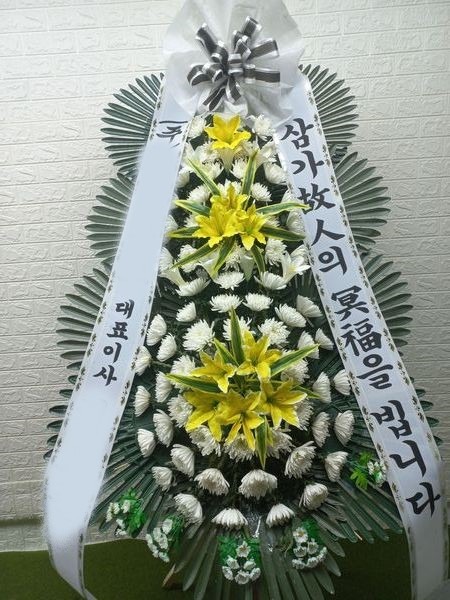 ����ȭȯ ����3��