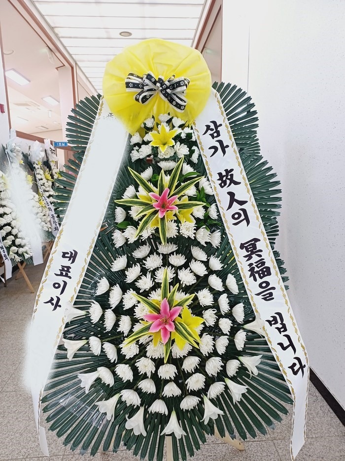 ����ȭȯ ����3��