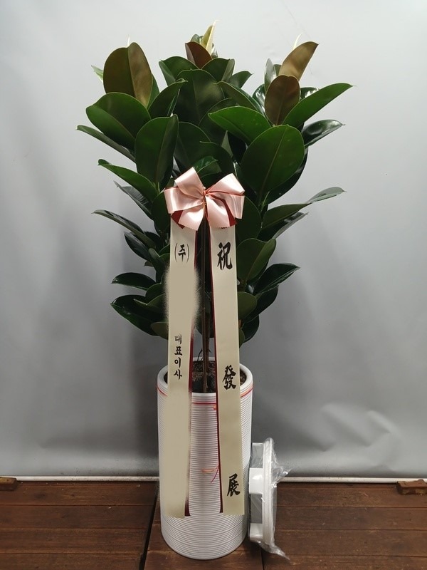 ����ȭ�� ��������