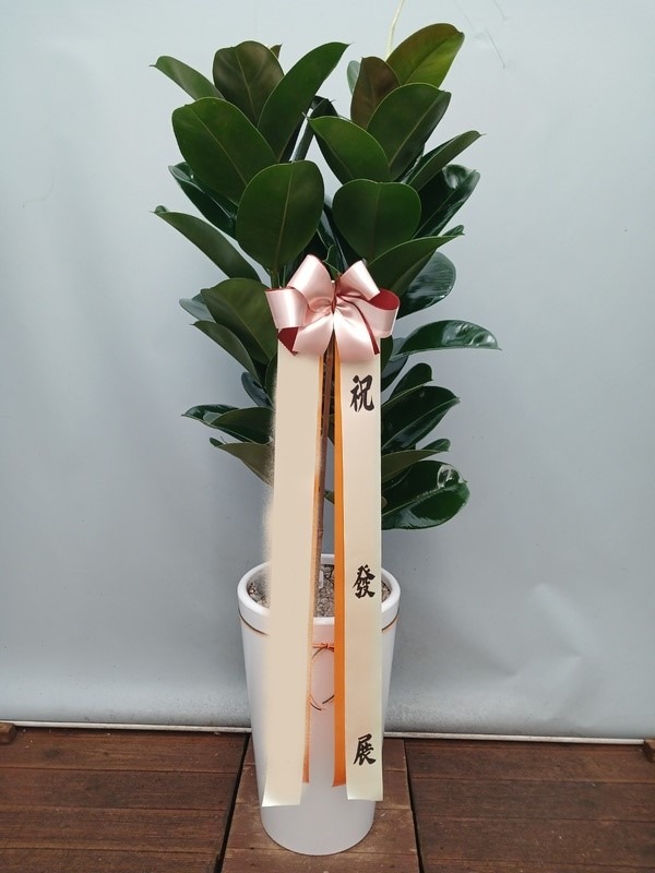 ����ȭ�� ��������