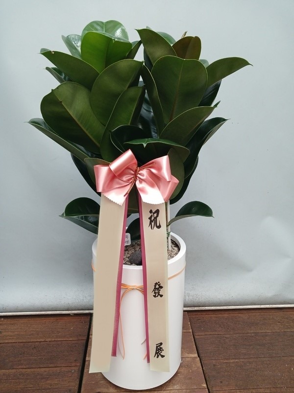 ����ȭ�� ��������