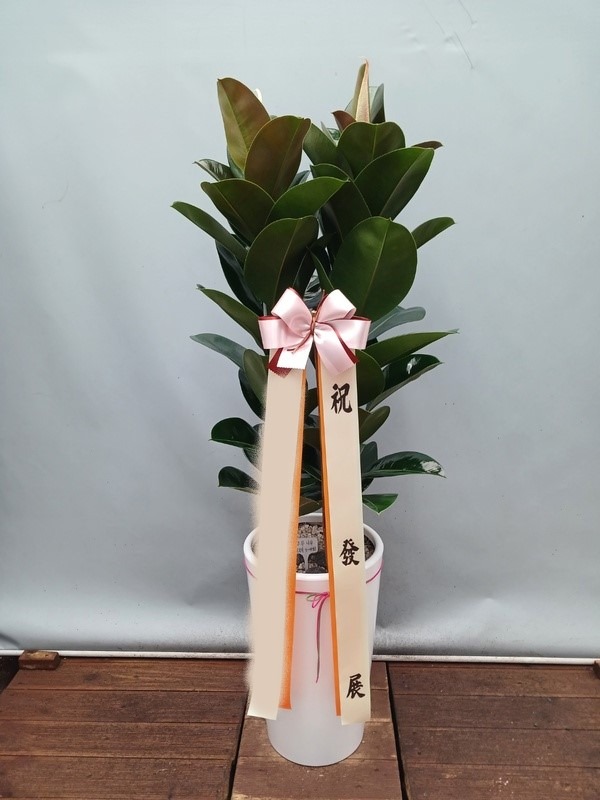 ����ȭ�� ��������