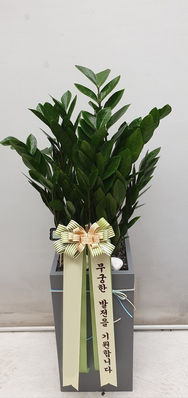 ����ȭ�� ������