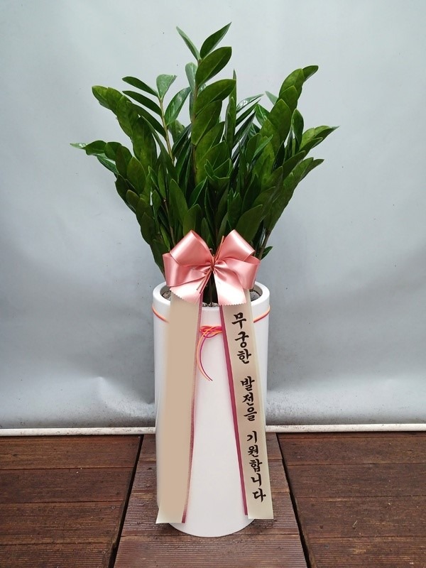 ����ȭ�� ������