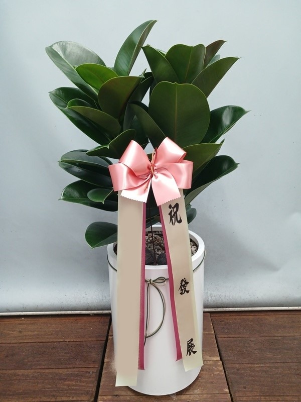 ����ȭ�� ��������