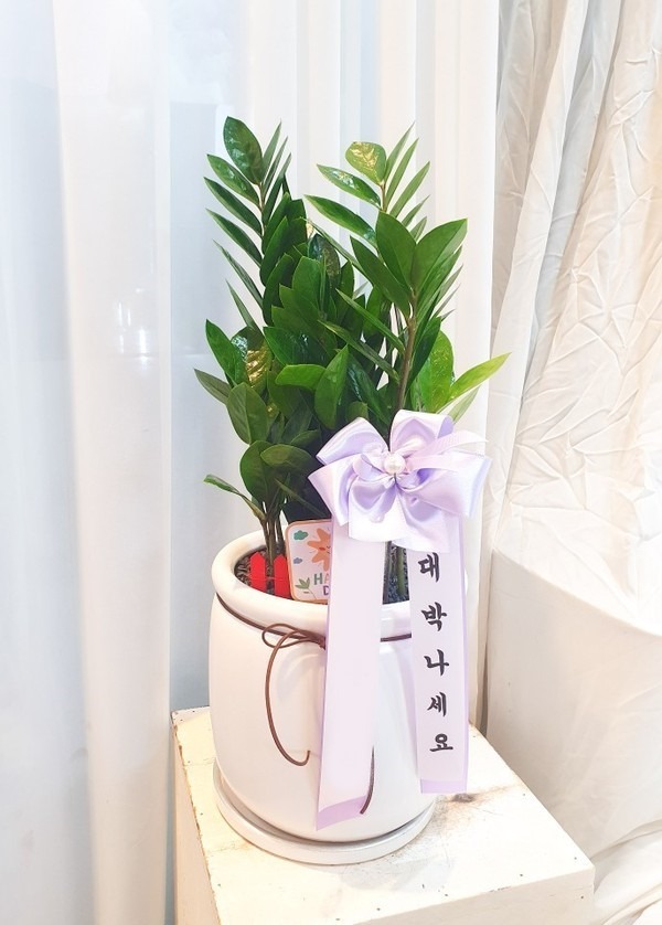 ����ȭ�� ������