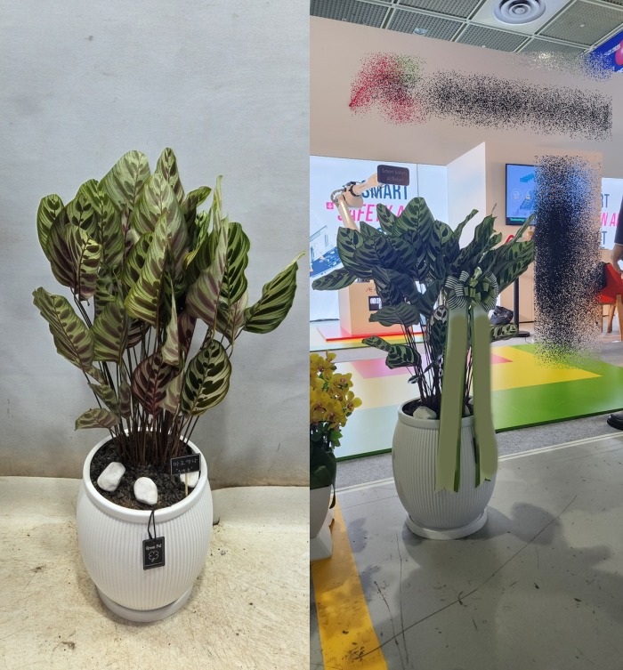 ����ȭ�� [�����߳�]