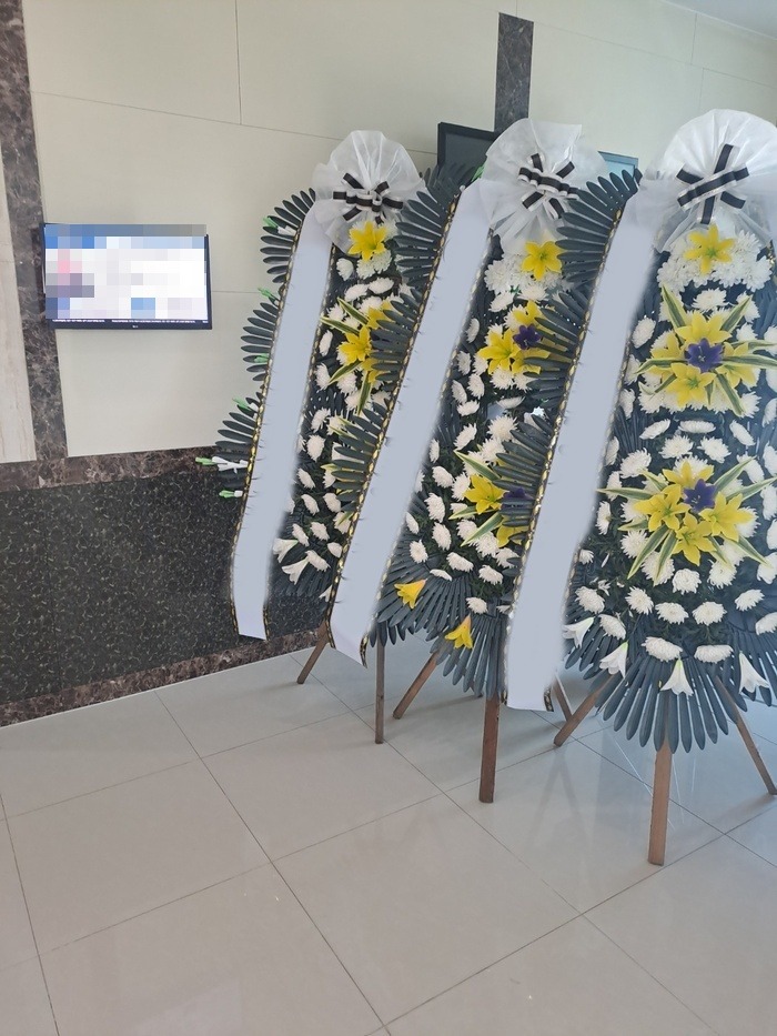 ����3��ȭȯ