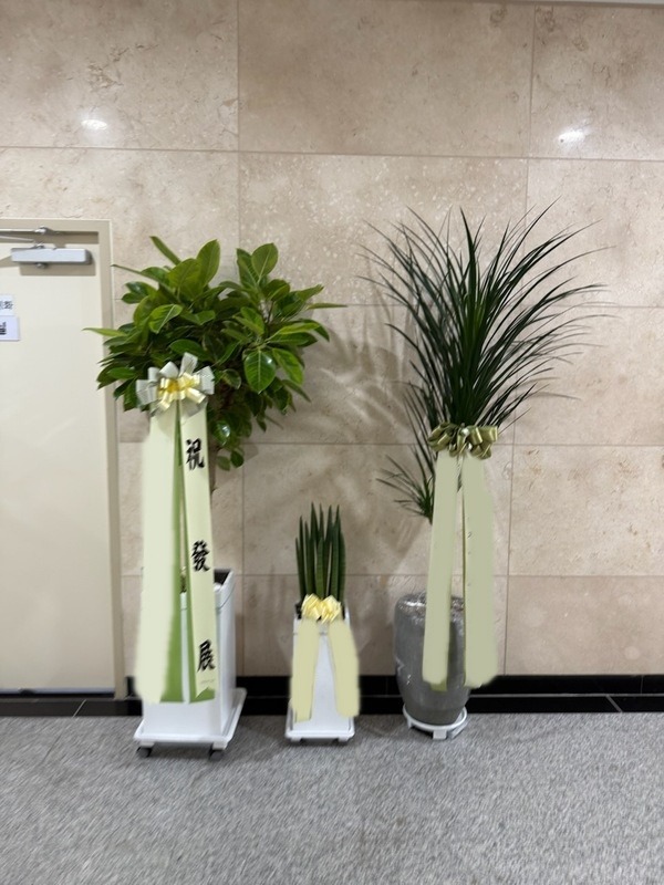 ����ȭ��