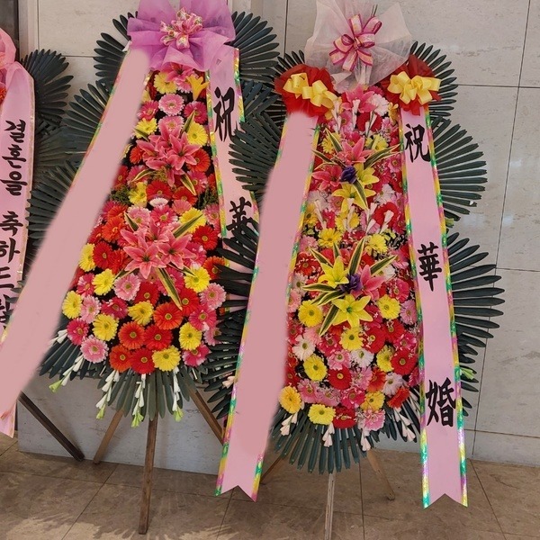 ����3��ȭȯ