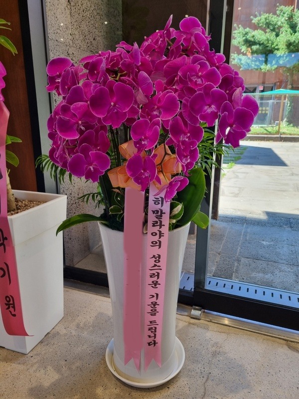 ����� ȣ����