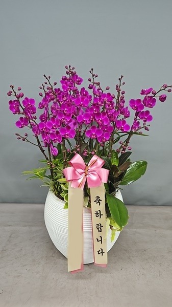 ����� ��õȫ